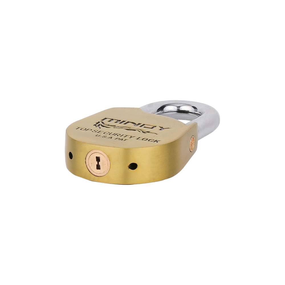 Art No.: A15-S, MINDY Outdoor Patio Gate Eagle Round Cake Shape Zinc Alloy Snake Key Padlock